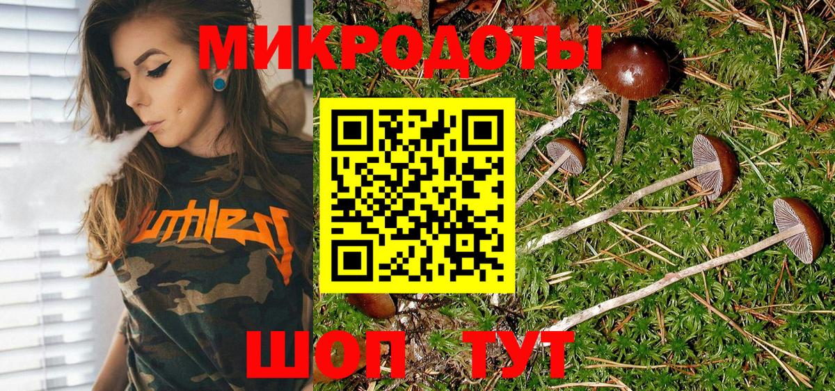 Галлюциногенные грибы прущие грибы Лесозаводск